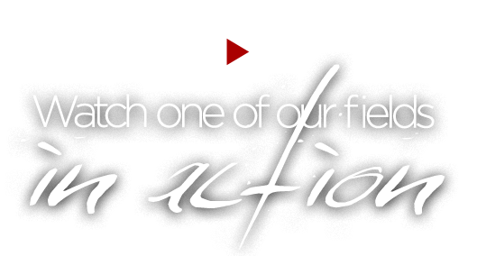 Watch a video about Sierra Leone